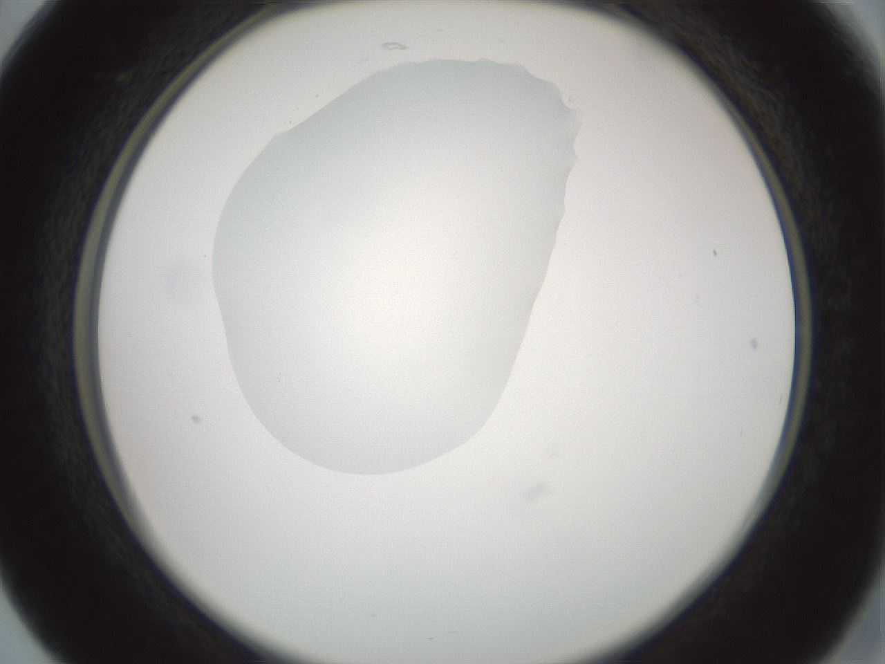 folderID600_plateID1600_batchID6725_wellNum17_profileID1_d2_r105429_ef.jpg