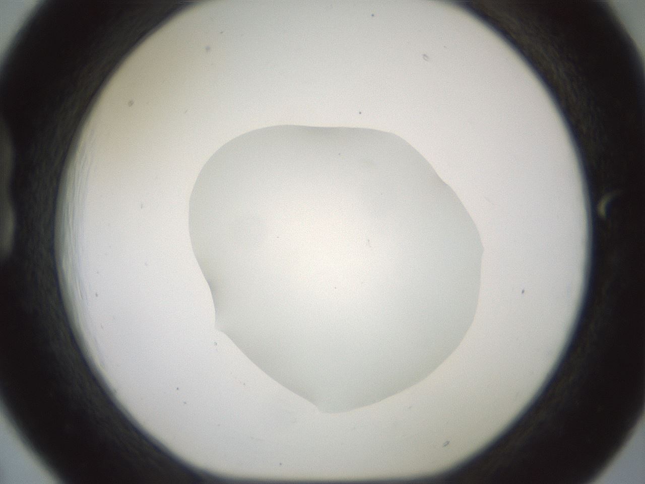 folderID600_plateID1600_batchID6725_wellNum18_profileID1_d1_r105430_ef.jpg