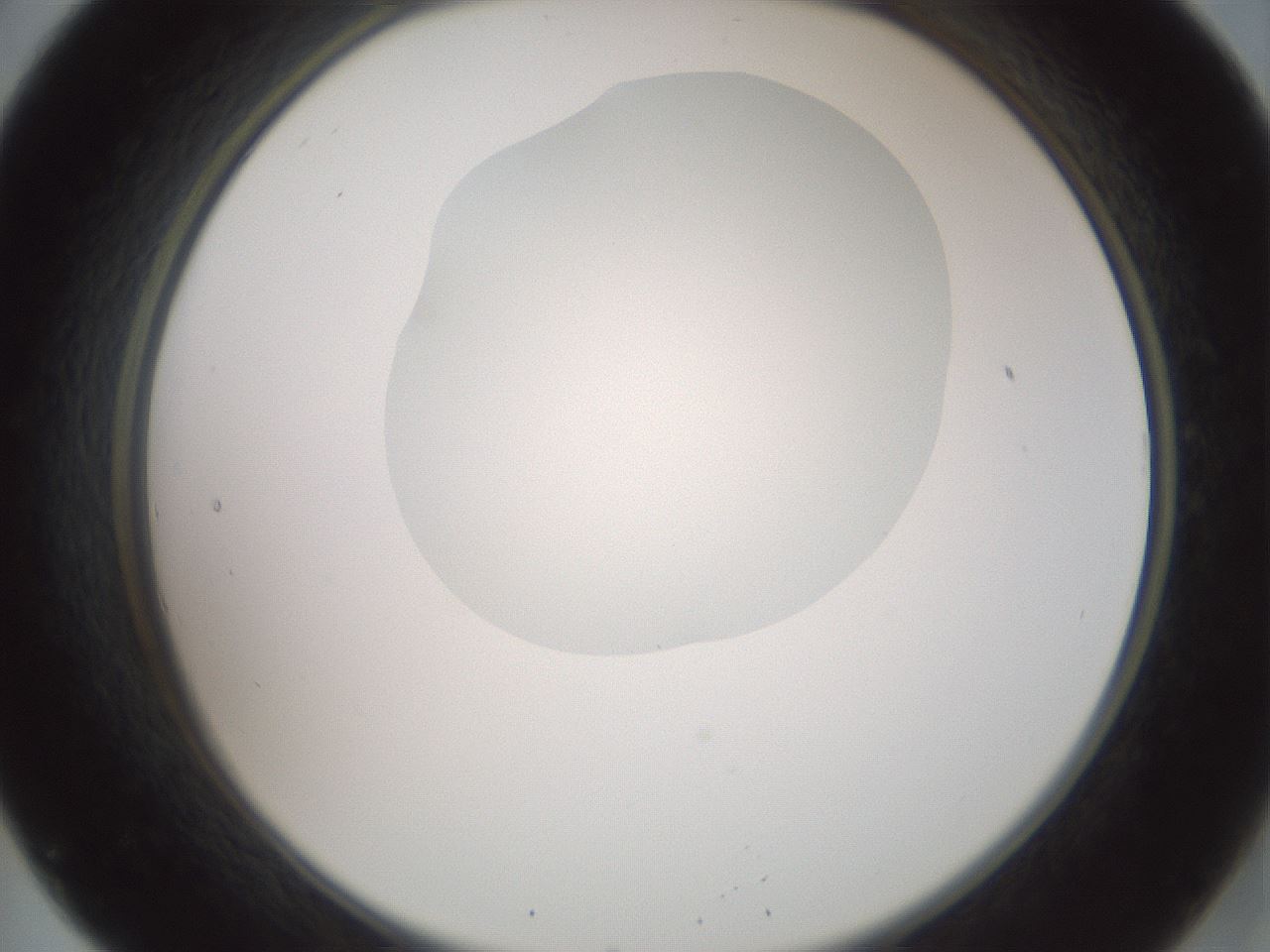 folderID600_plateID1600_batchID6725_wellNum20_profileID1_d2_r105435_ef.jpg