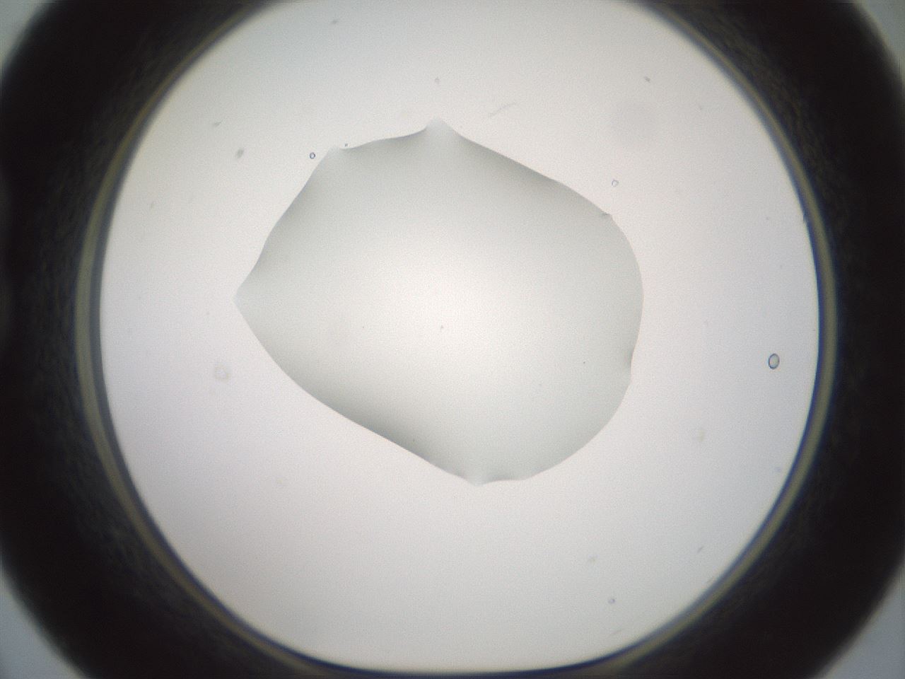 folderID600_plateID1600_batchID6725_wellNum21_profileID1_d1_r105436_ef.jpg