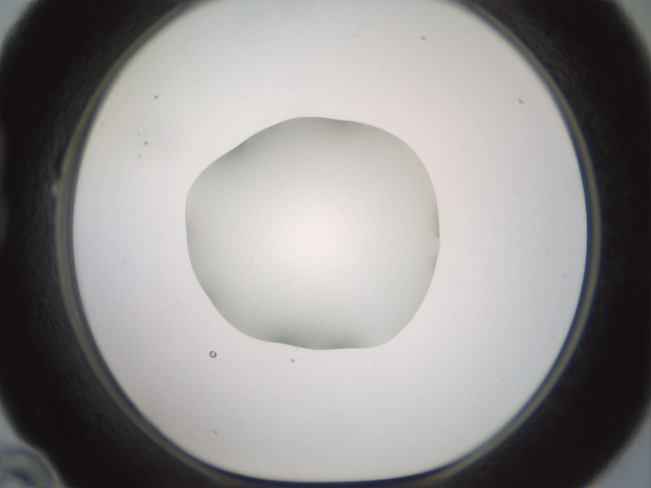 folderID600_plateID1600_batchID6725_wellNum22_profileID1_d1_r105438_ef.jpg
