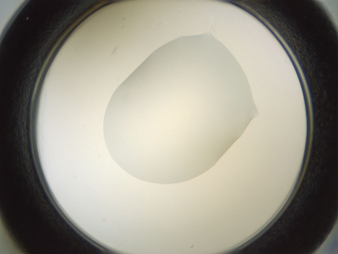 folderID600_plateID1600_batchID6725_wellNum25_profileID1_d2_r105445_ef.jpg