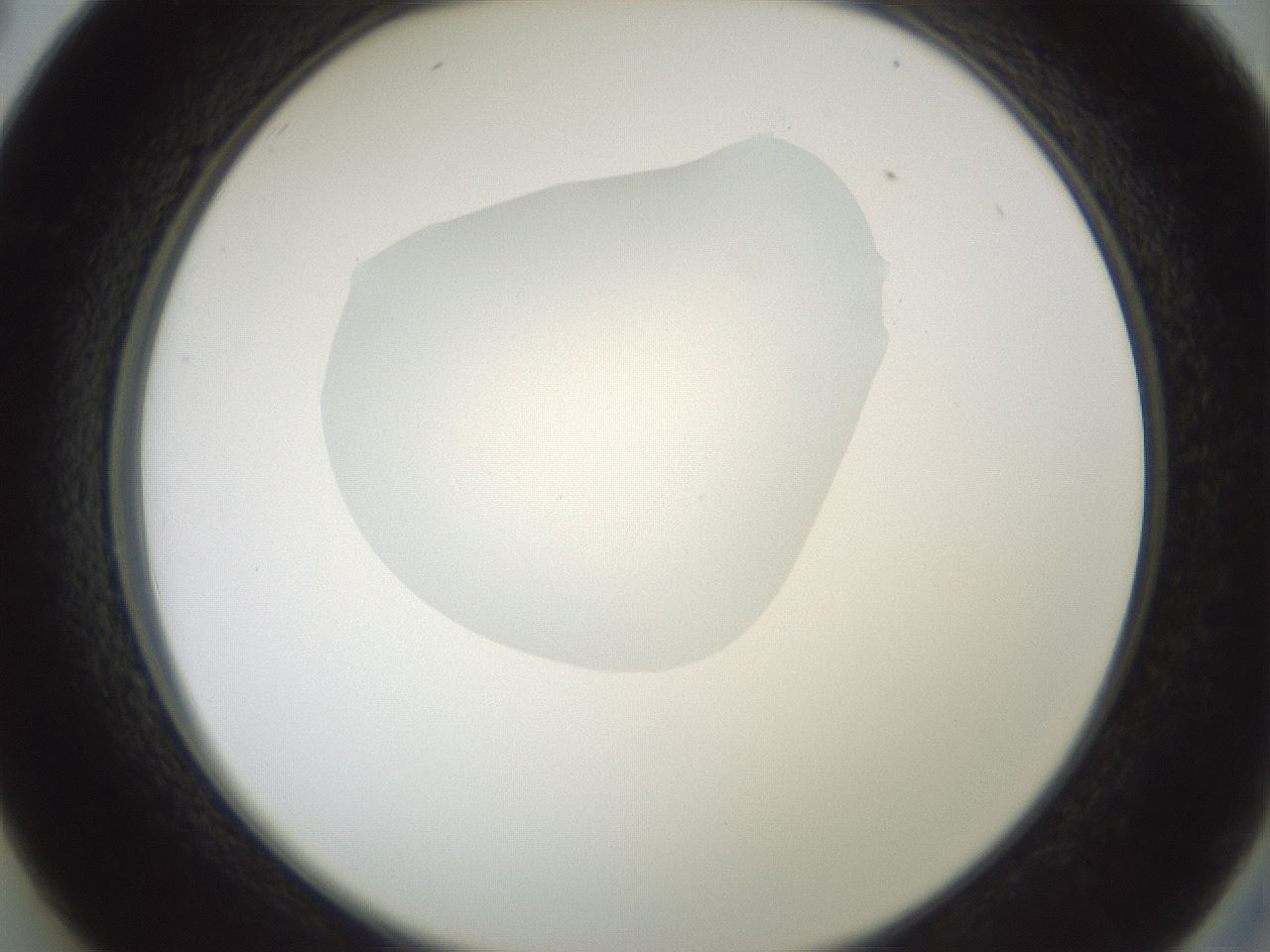 folderID600_plateID1600_batchID6725_wellNum26_profileID1_d2_r105447_ef.jpg