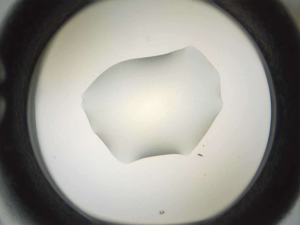 folderID600_plateID1600_batchID6725_wellNum27_profileID1_d1_r105448_ef.jpg
