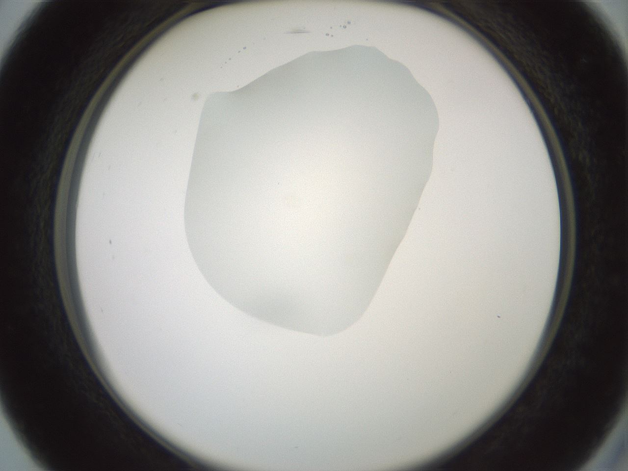 folderID600_plateID1600_batchID6725_wellNum27_profileID1_d2_r105449_ef.jpg