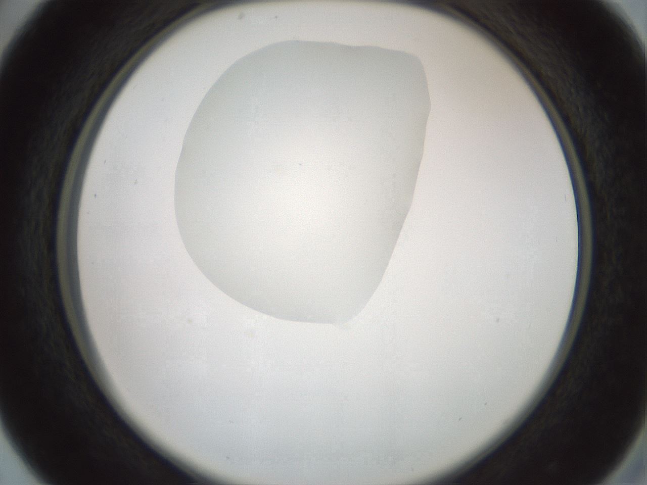 folderID600_plateID1600_batchID6725_wellNum29_profileID1_d2_r105453_ef.jpg
