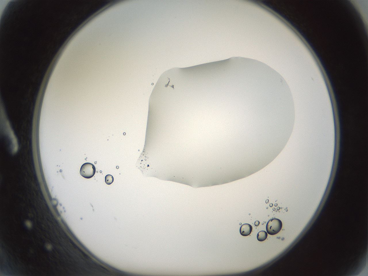 folderID600_plateID1600_batchID6725_wellNum2_profileID1_d1_r105398_ef.jpg