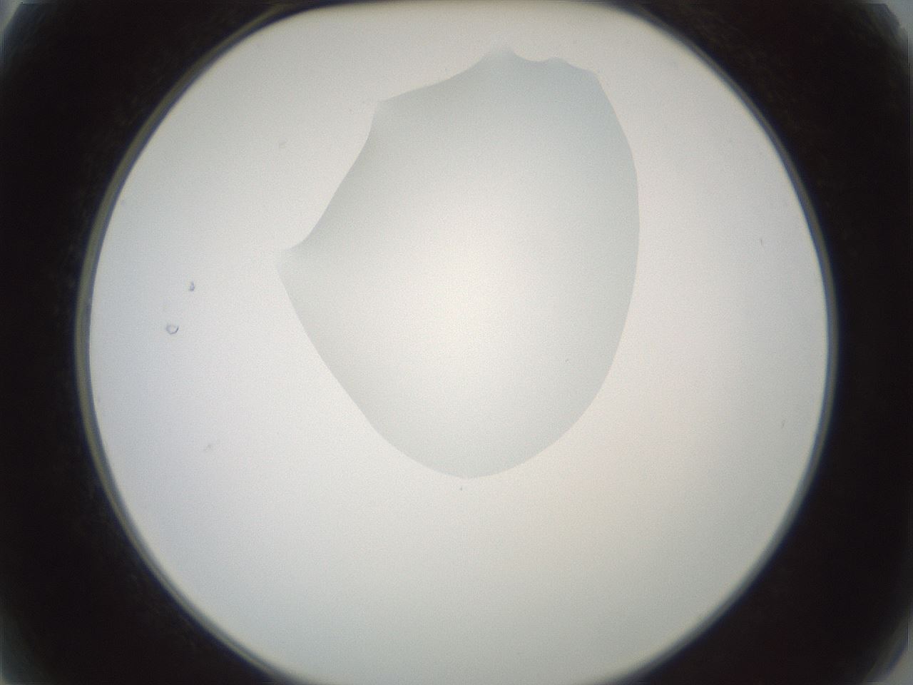 folderID600_plateID1600_batchID6725_wellNum2_profileID1_d2_r105399_ef.jpg