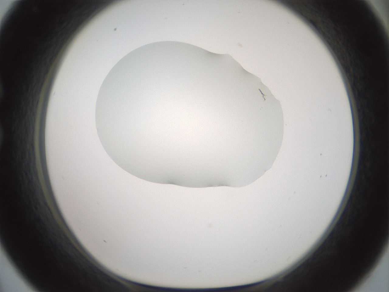 folderID600_plateID1600_batchID6725_wellNum33_profileID1_d1_r105460_ef.jpg