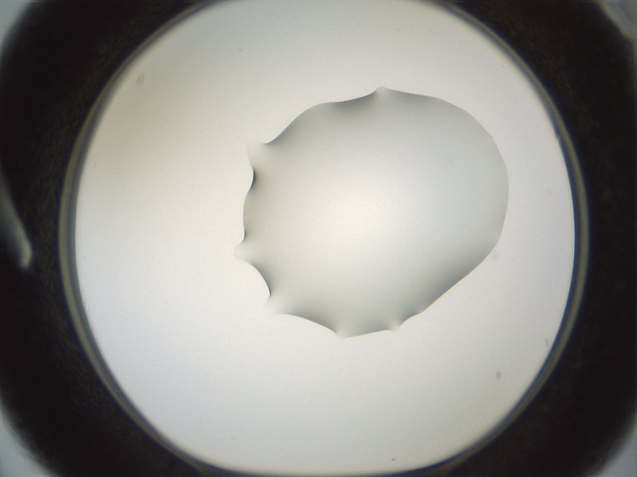 folderID600_plateID1600_batchID6725_wellNum3_profileID1_d1_r105400_ef.jpg