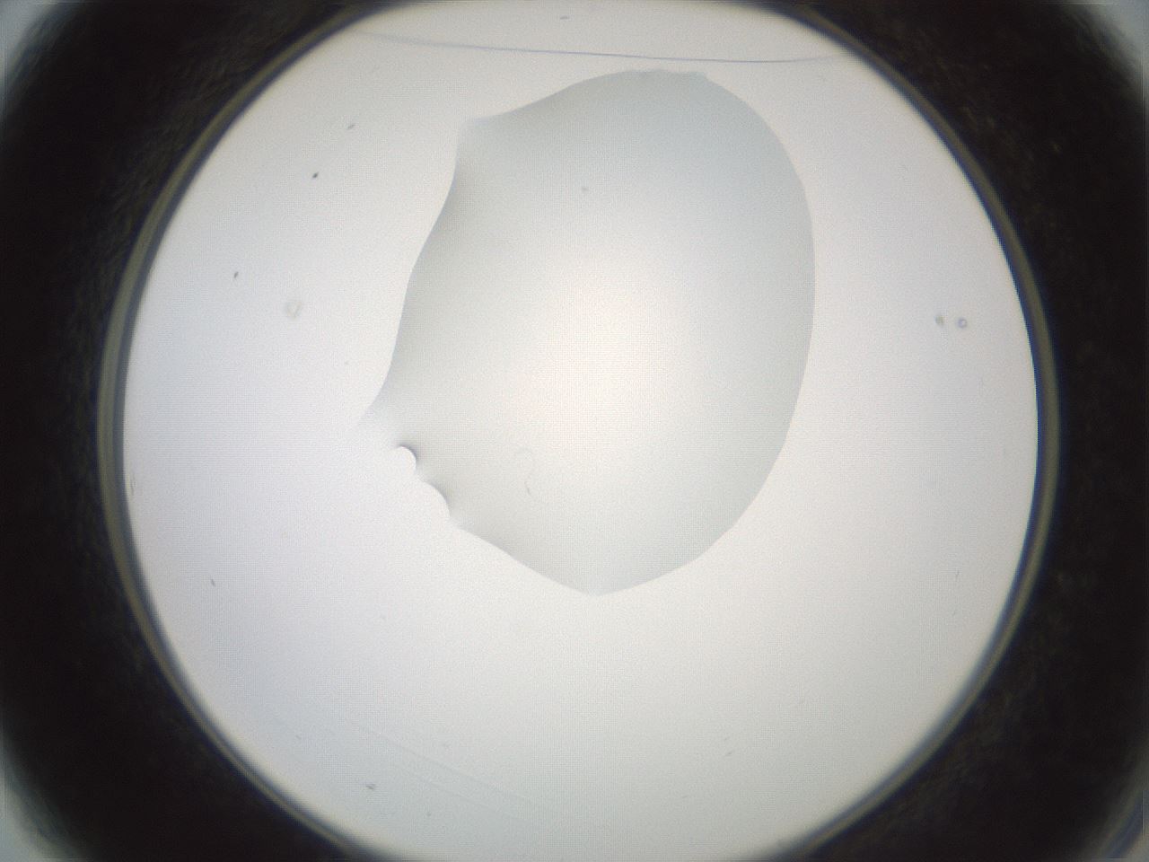 folderID600_plateID1600_batchID6725_wellNum3_profileID1_d2_r105401_ef.jpg