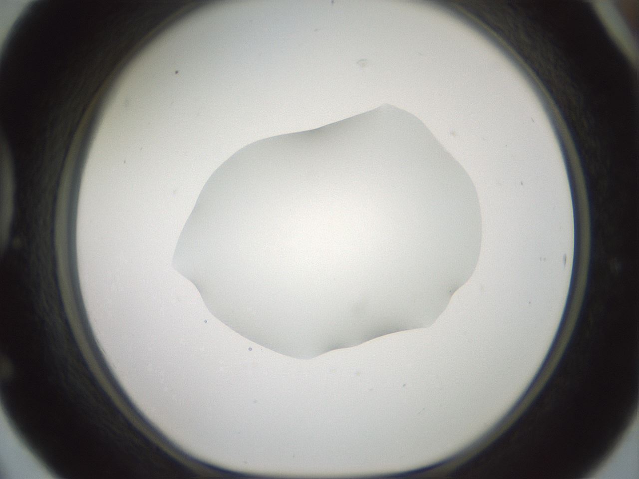 folderID600_plateID1600_batchID6725_wellNum42_profileID1_d1_r105478_ef.jpg