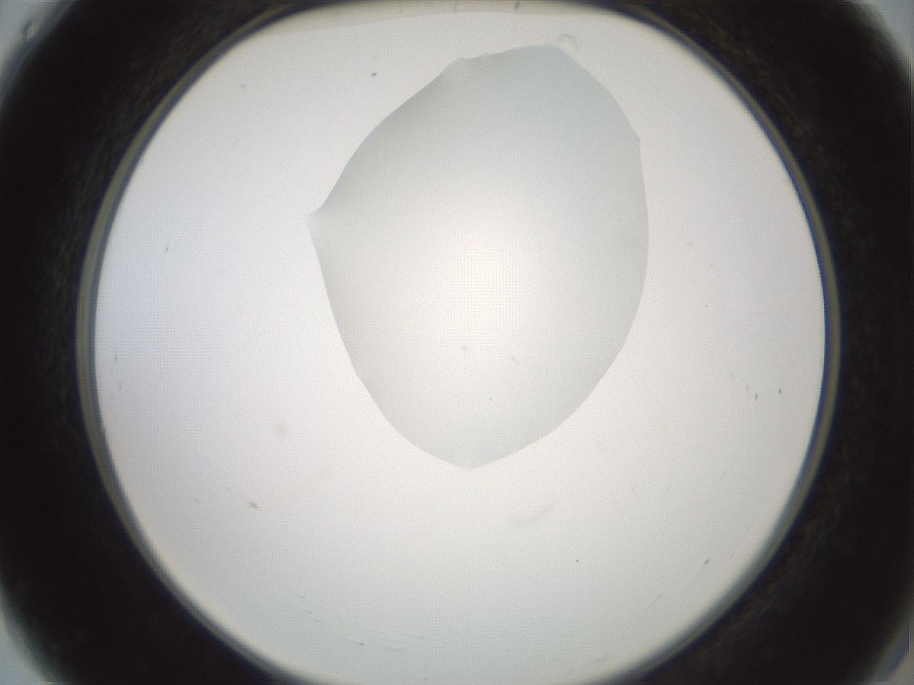 folderID600_plateID1600_batchID6725_wellNum4_profileID1_d2_r105403_ef.jpg
