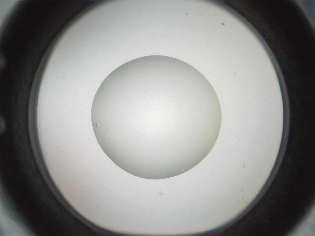 folderID600_plateID1600_batchID6725_wellNum54_profileID1_d1_r105502_ef.jpg