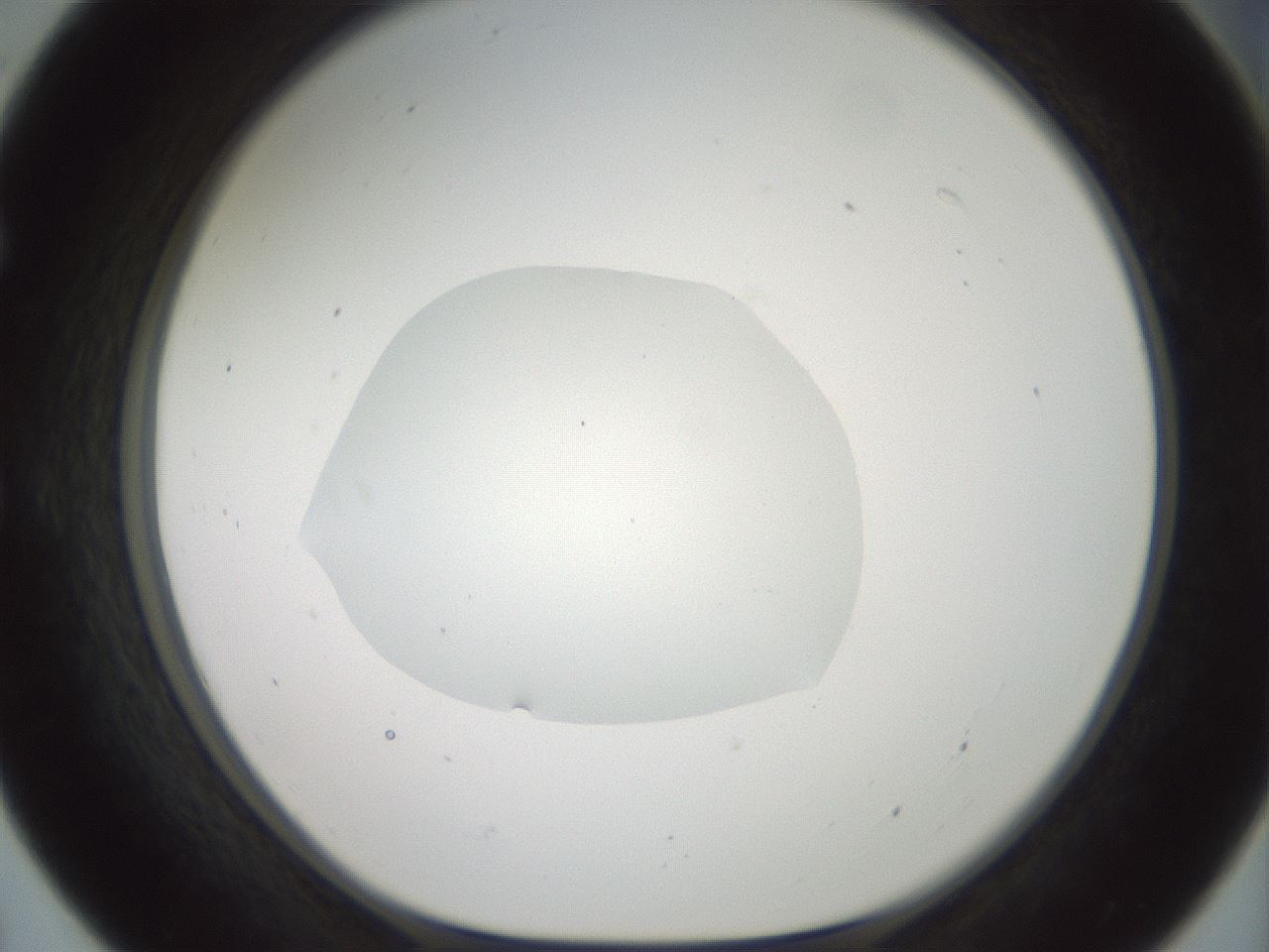 folderID600_plateID1600_batchID6725_wellNum55_profileID1_d1_r105504_ef.jpg