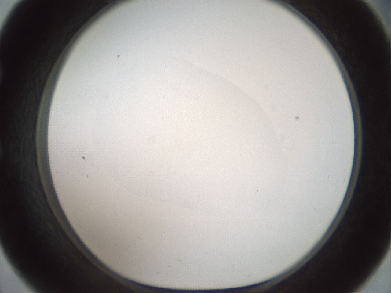 folderID600_plateID1600_batchID6725_wellNum57_profileID1_d1_r105508_ef.jpg