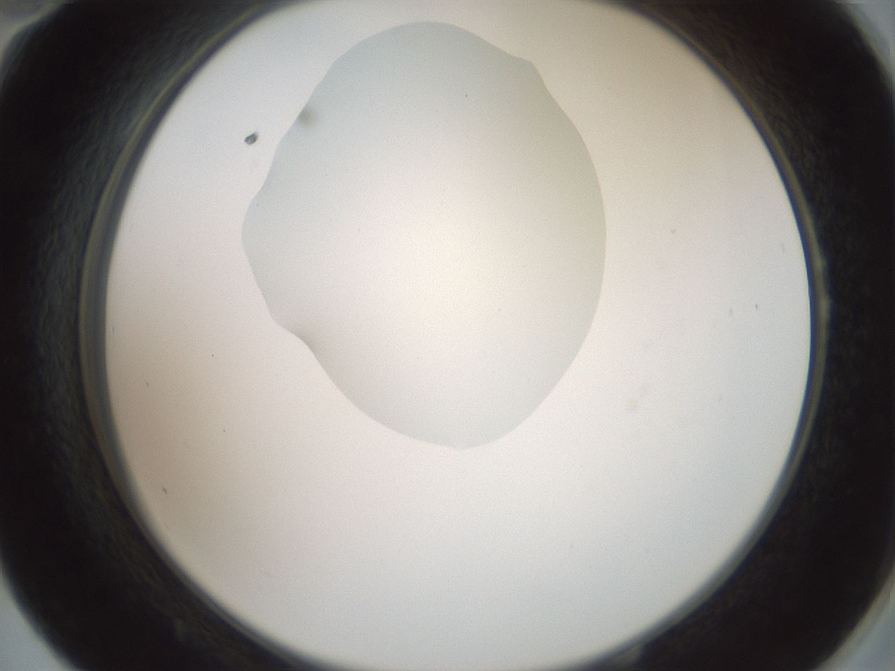 folderID600_plateID1600_batchID6725_wellNum58_profileID1_d2_r105511_ef.jpg