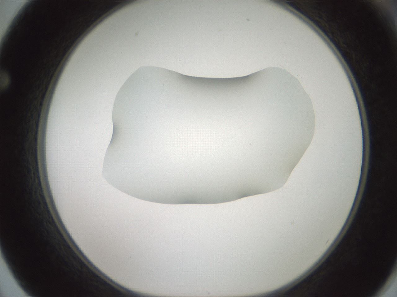 folderID600_plateID1600_batchID6725_wellNum62_profileID1_d1_r105518_ef.jpg