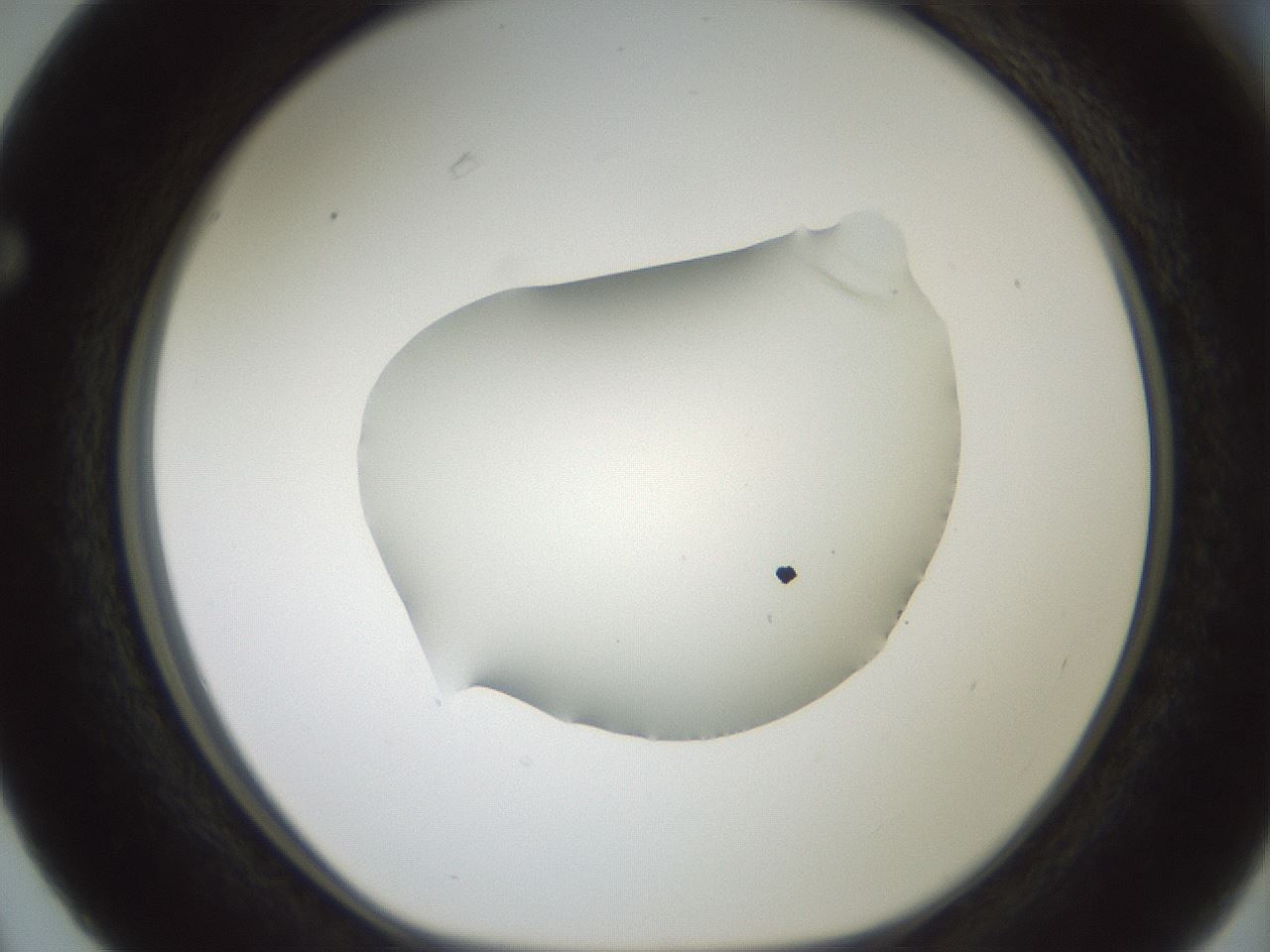 folderID600_plateID1600_batchID6725_wellNum63_profileID1_d1_r105520_ef.jpg