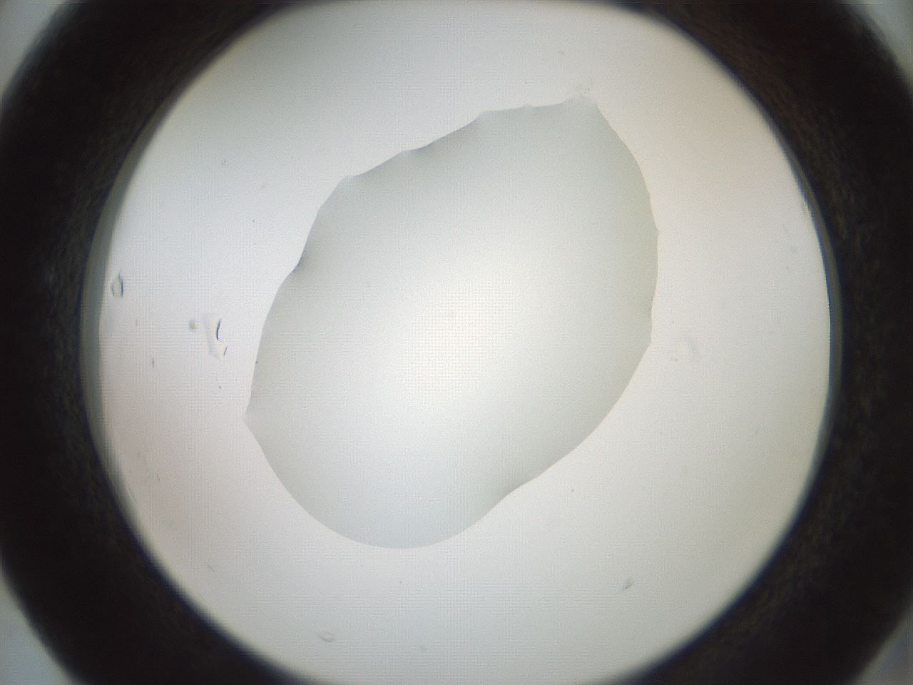 folderID600_plateID1600_batchID6725_wellNum63_profileID1_d2_r105521_ef.jpg