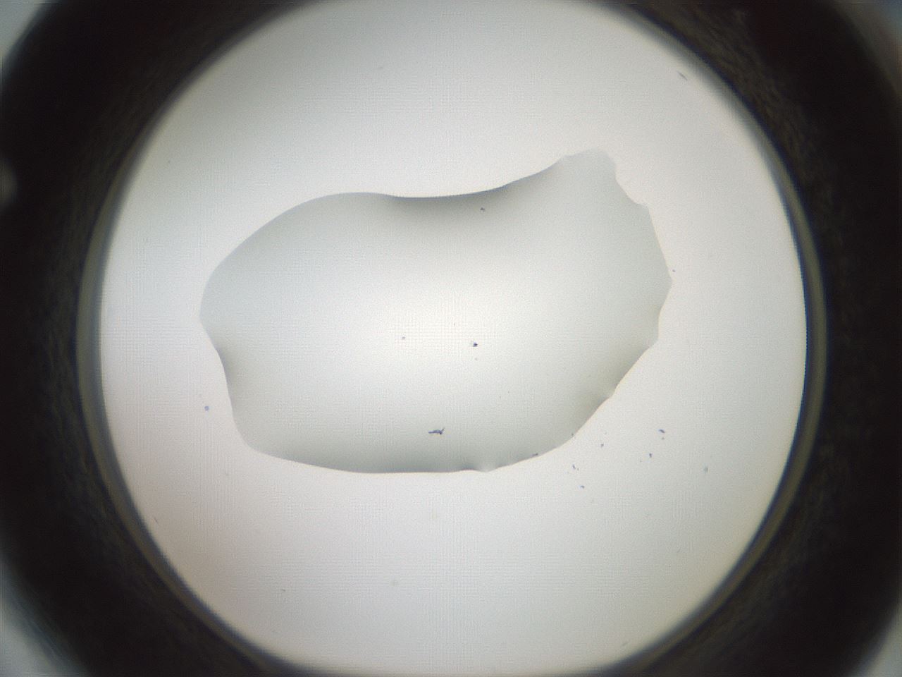 folderID600_plateID1600_batchID6725_wellNum64_profileID1_d1_r105522_ef.jpg