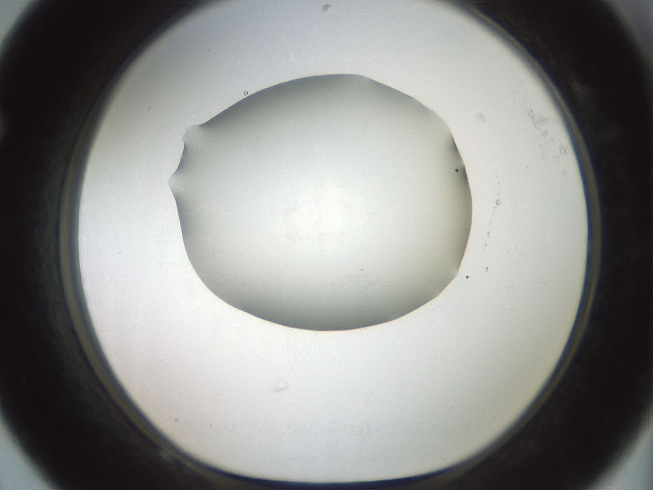 folderID600_plateID1600_batchID6725_wellNum68_profileID1_d1_r105530_ef.jpg