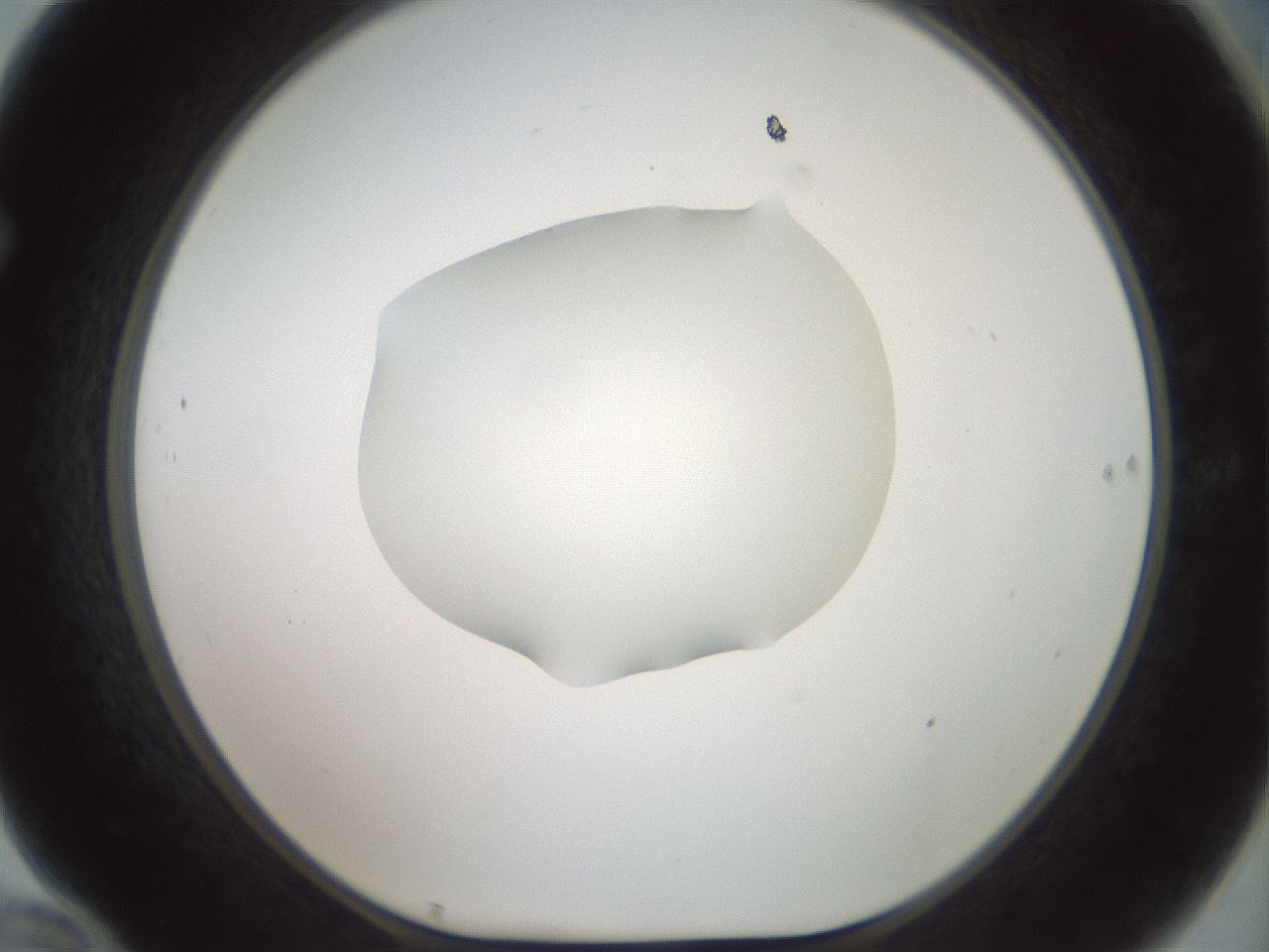 folderID600_plateID1600_batchID6725_wellNum70_profileID1_d1_r105534_ef.jpg