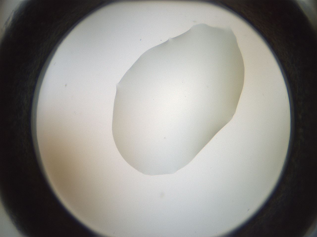 folderID600_plateID1600_batchID6725_wellNum75_profileID1_d2_r105545_ef.jpg