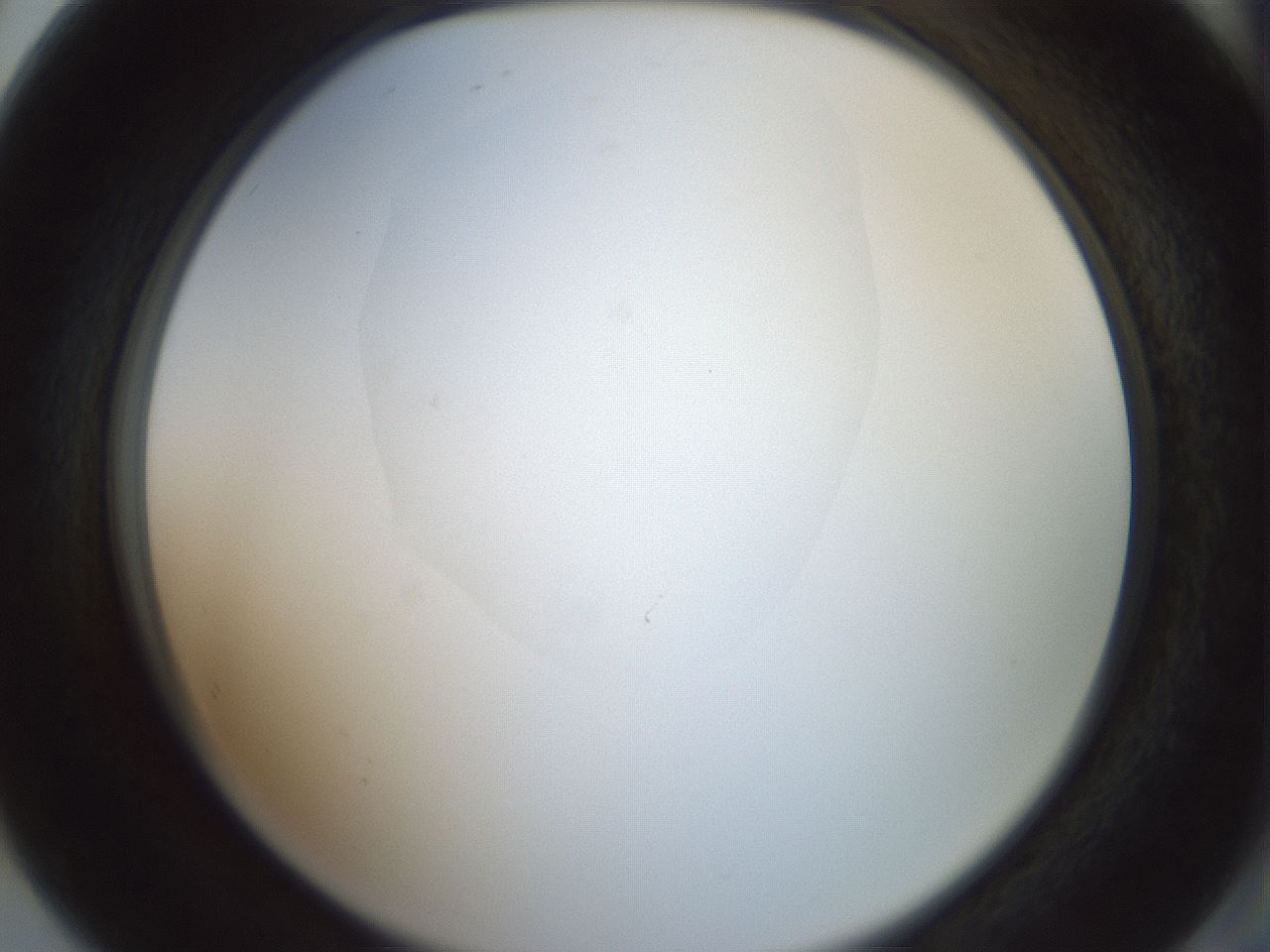 folderID600_plateID1600_batchID6725_wellNum80_profileID1_d2_r105555_ef.jpg