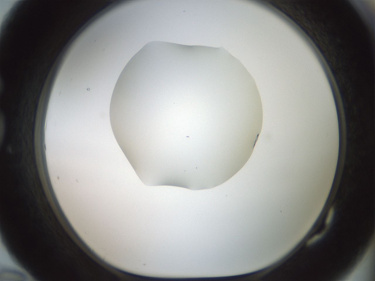 folderID600_plateID1600_batchID6725_wellNum82_profileID1_d1_r105558_ef.jpg