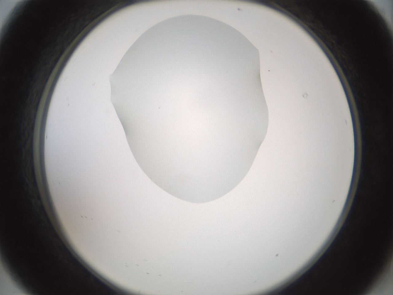 folderID600_plateID1600_batchID6725_wellNum8_profileID1_d2_r105411_ef.jpg