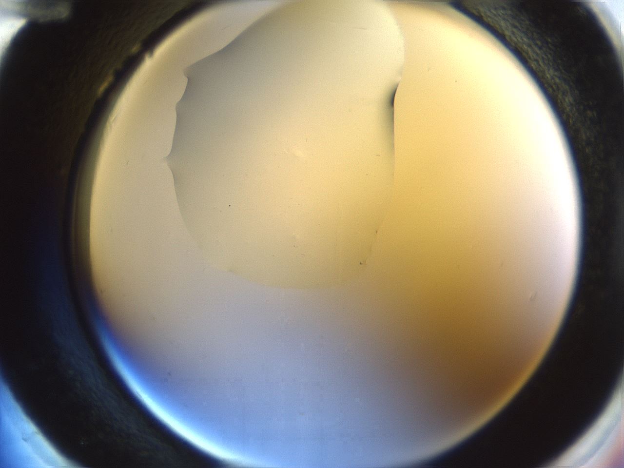 folderID600_plateID1600_batchID6725_wellNum96_profileID1_d2_r105587_ef.jpg