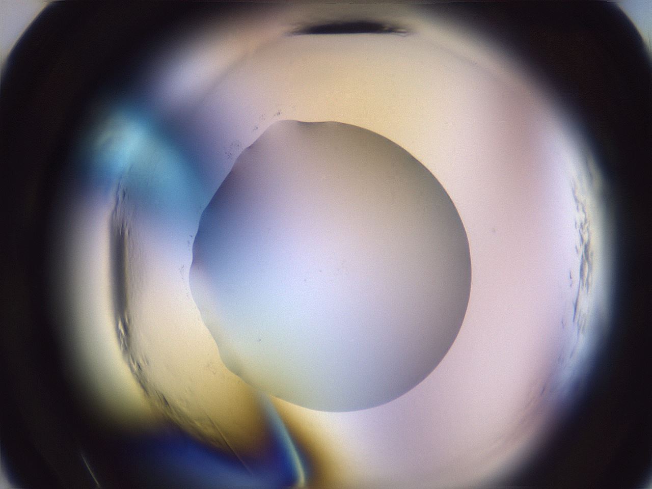 folderID600_plateID2600_batchID13161_wellNum10_profileID1_d2_r198757_ef.jpg