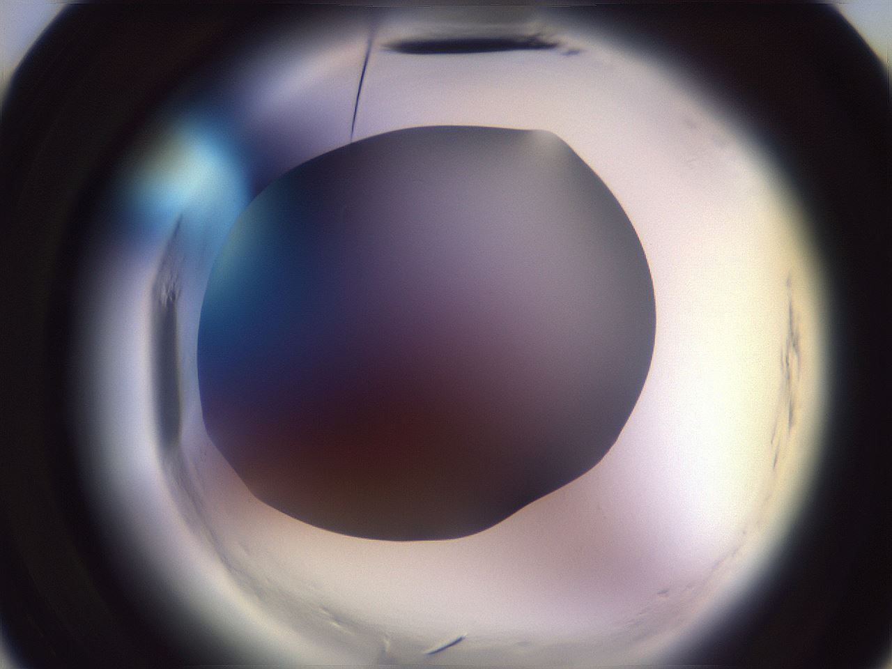 folderID600_plateID2600_batchID13161_wellNum10_profileID1_d3_r198758_ef.jpg