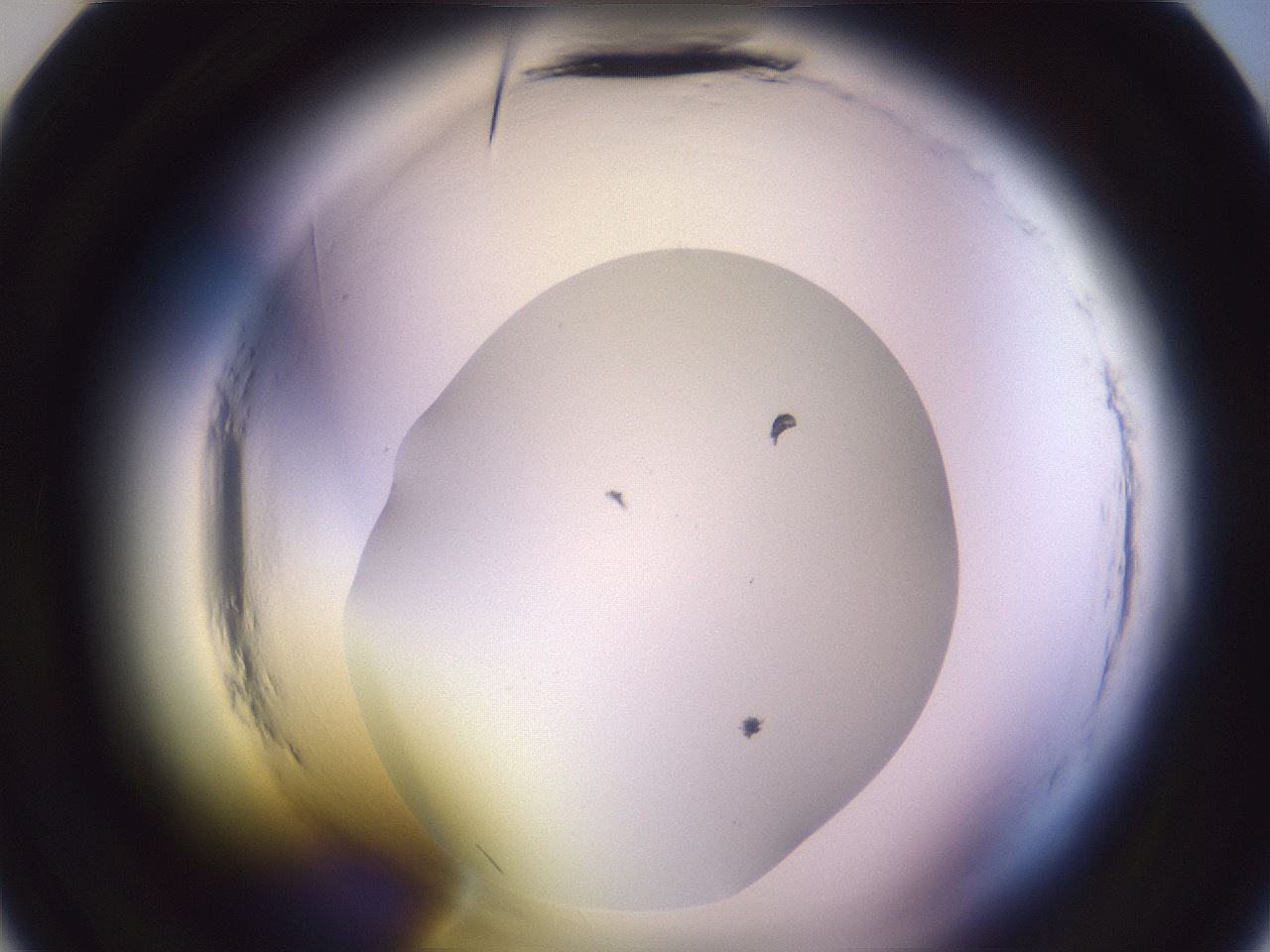 folderID600_plateID2600_batchID13161_wellNum22_profileID1_d2_r198793_ef.jpg
