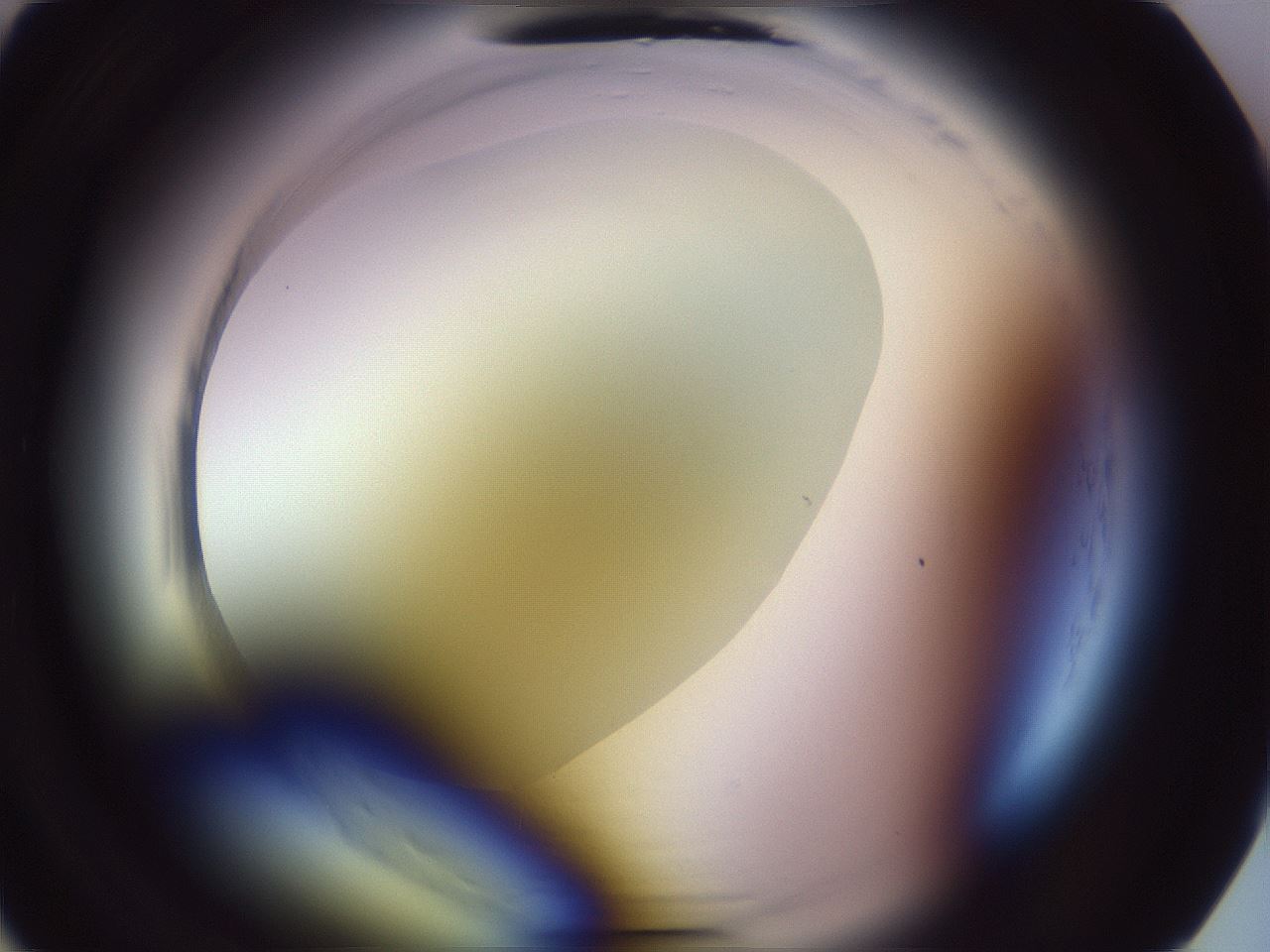 folderID600_plateID2600_batchID13161_wellNum2_profileID1_d1_r198732_ef.jpg
