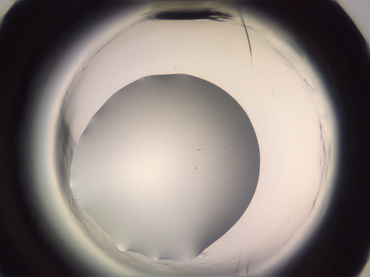 folderID600_plateID2600_batchID13161_wellNum44_profileID1_d3_r198860_ef.jpg