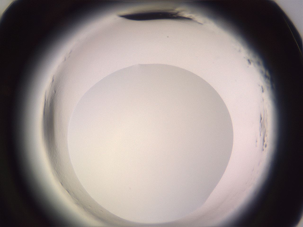 folderID600_plateID2600_batchID13161_wellNum69_profileID1_d2_r198934_ef.jpg