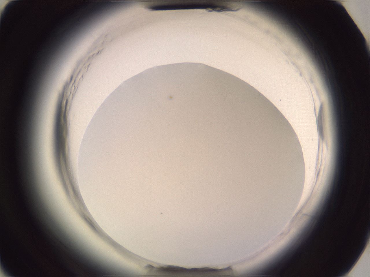 folderID600_plateID2600_batchID13161_wellNum73_profileID1_d3_r198947_ef.jpg