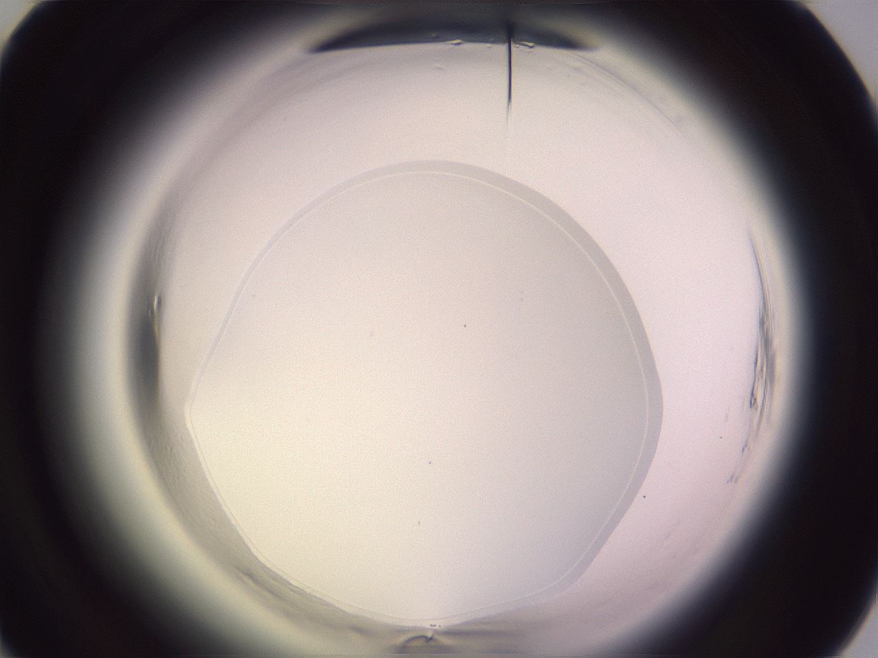 folderID600_plateID2600_batchID13161_wellNum74_profileID1_d1_r198948_ef.jpg