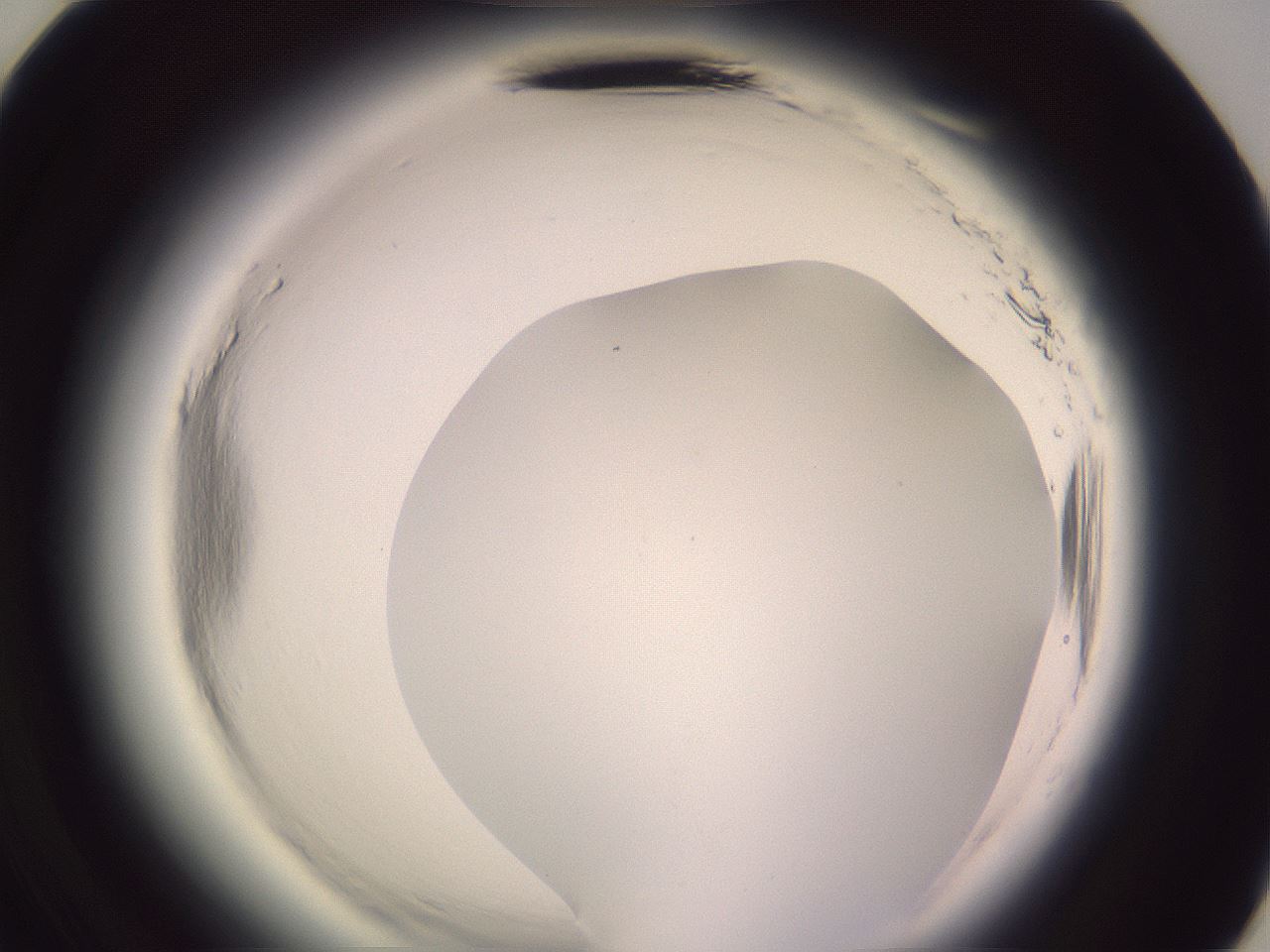 folderID600_plateID2600_batchID13161_wellNum71_profileID1_d3_r198941_ef.jpg