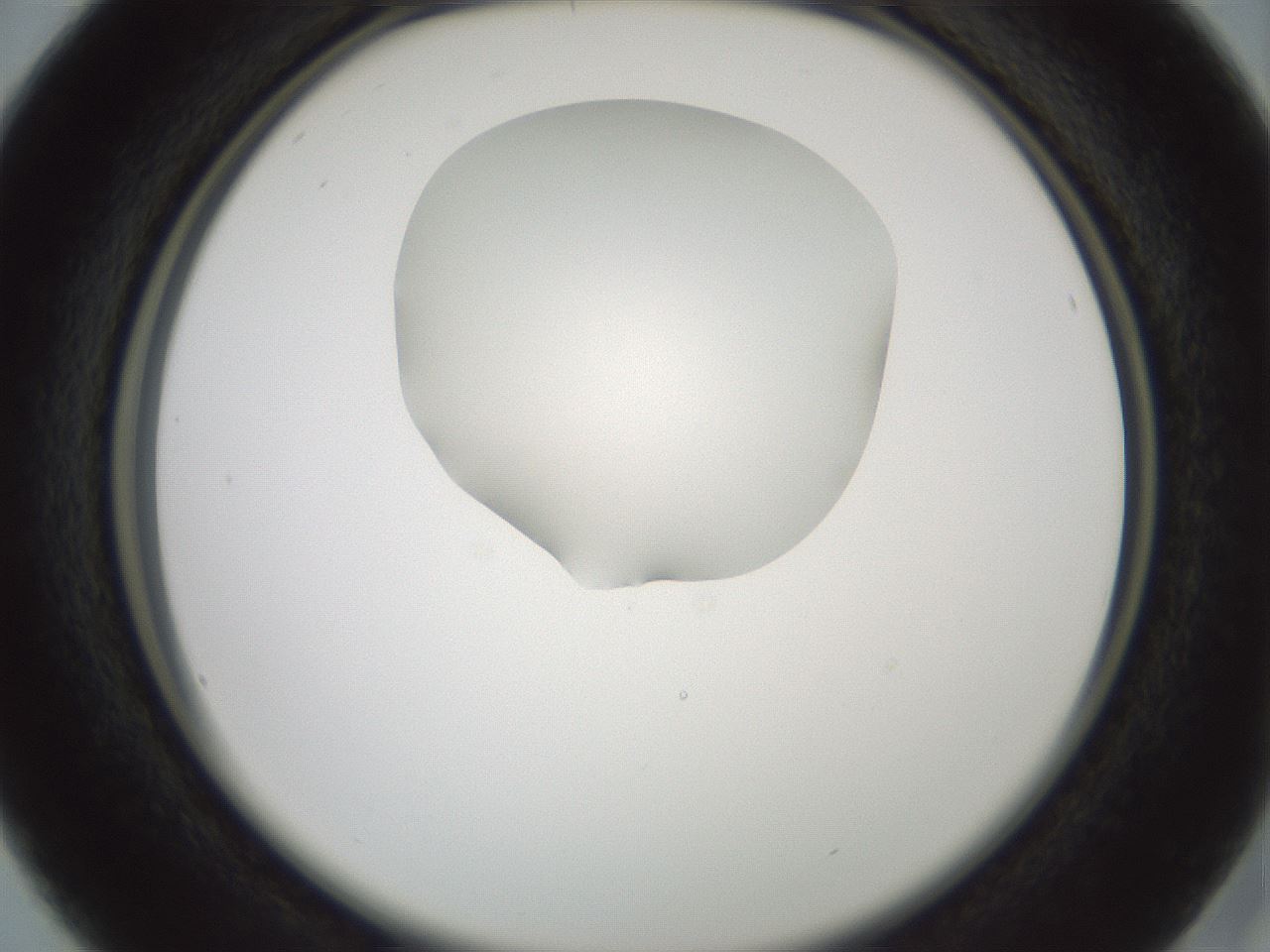 folderID601_plateID1601_batchID6734_wellNum16_profileID1_d2_r107155_ef.jpg