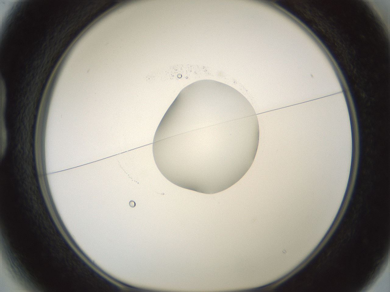 folderID601_plateID1601_batchID6734_wellNum13_profileID1_d1_r107148_ef.jpg