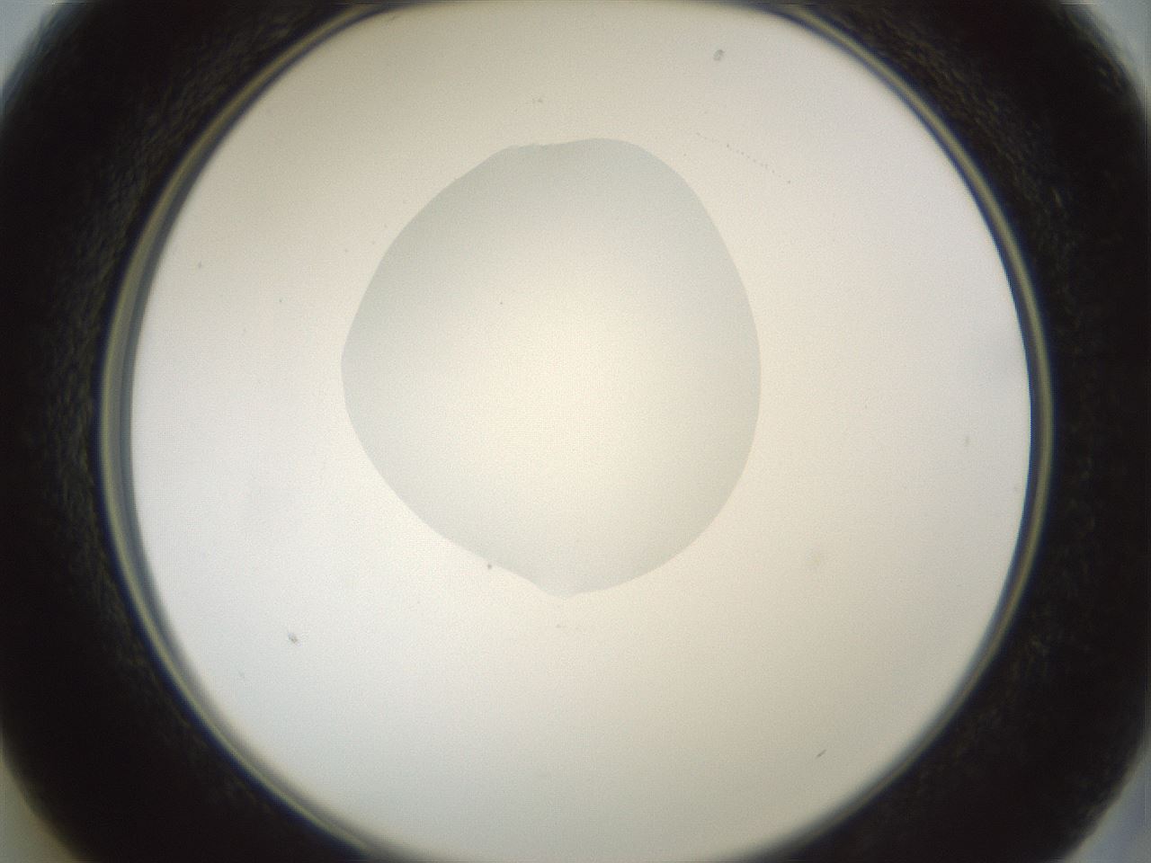 folderID601_plateID1601_batchID6734_wellNum13_profileID1_d2_r107149_ef.jpg