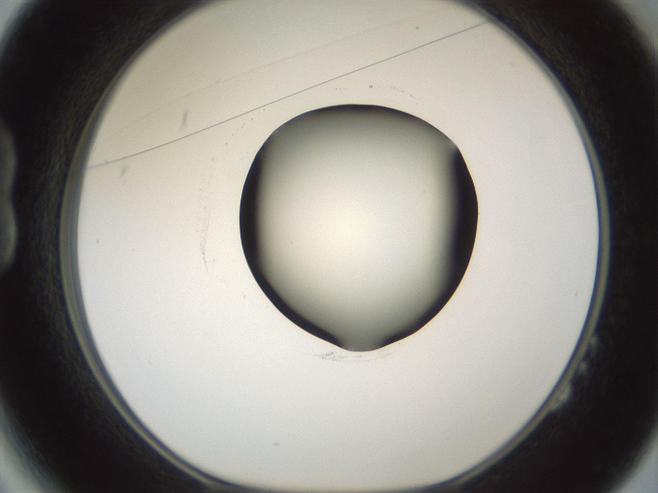 folderID601_plateID1601_batchID6734_wellNum14_profileID1_d1_r107150_ef.jpg