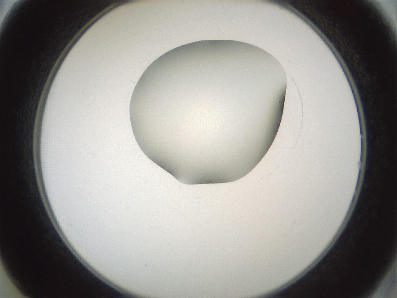folderID601_plateID1601_batchID6734_wellNum14_profileID1_d2_r107151_ef.jpg