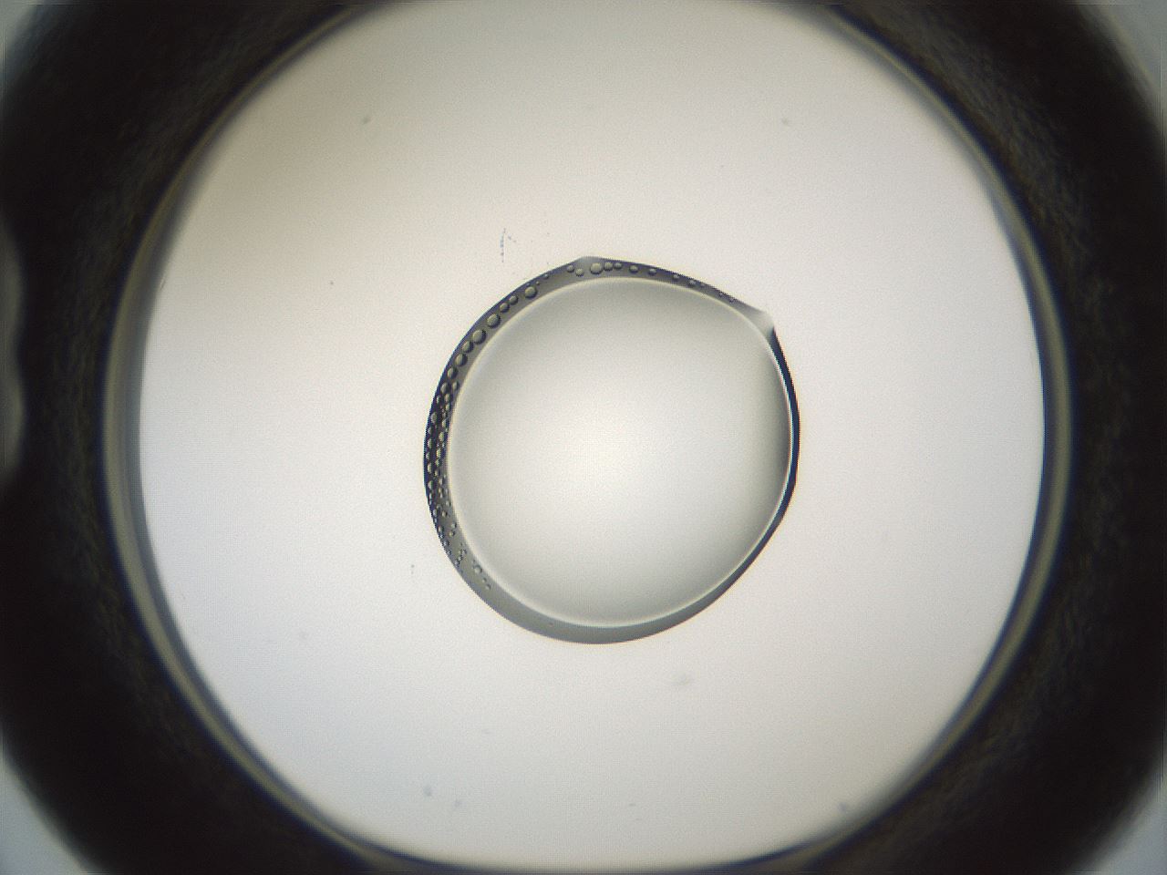 folderID601_plateID1601_batchID6734_wellNum15_profileID1_d1_r107152_ef.jpg