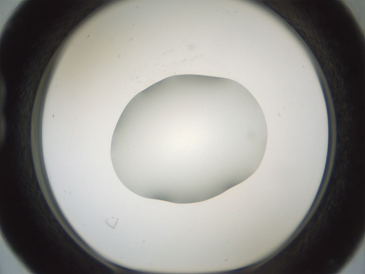 folderID601_plateID1601_batchID6734_wellNum16_profileID1_d1_r107154_ef.jpg