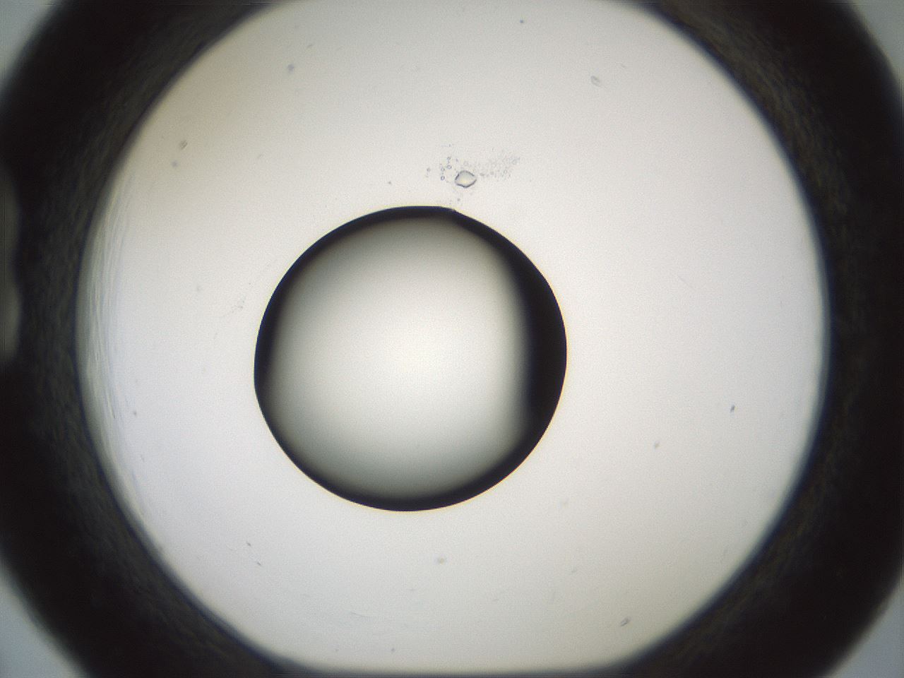 folderID601_plateID1601_batchID6734_wellNum18_profileID1_d1_r107158_ef.jpg