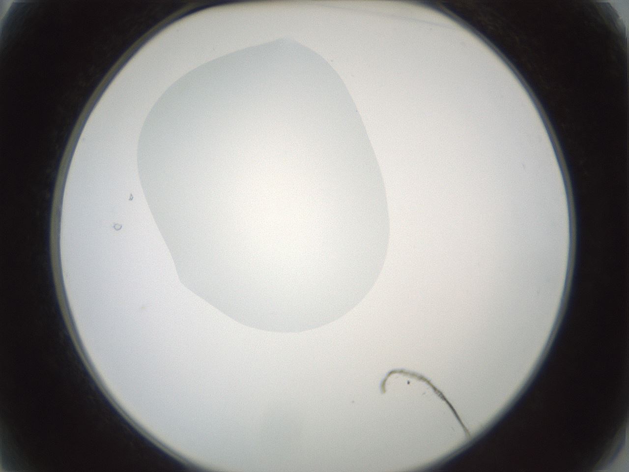folderID601_plateID1601_batchID6734_wellNum2_profileID1_d2_r107127_ef.jpg